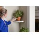 Snap Up Shelf