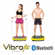 VibroFit
