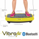 VibroFit