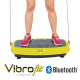 VibroFit