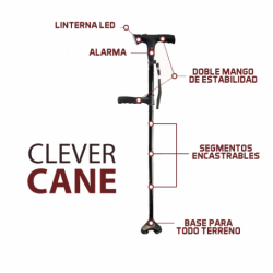 Clever Cane