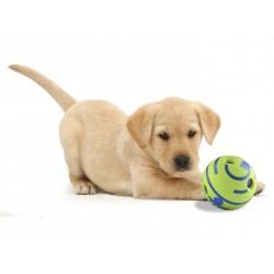 Pelota para Perros Wobble Wag Giggle